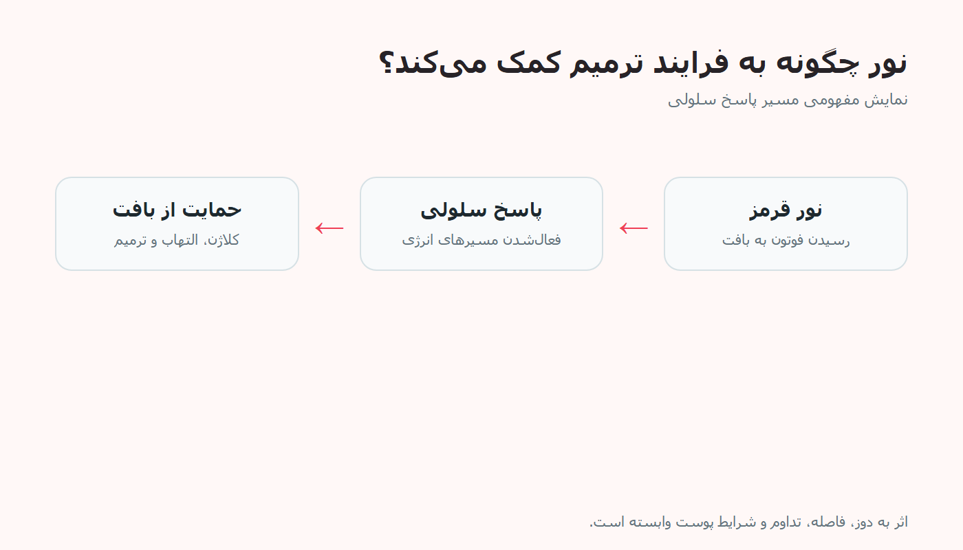 فرایند مفهومی پاسخ پوست به نور قرمز